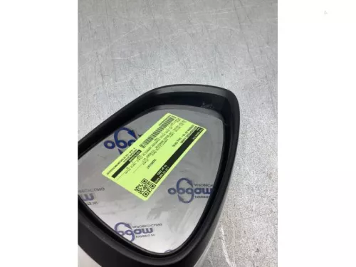 Buitenspiegel links-8219172