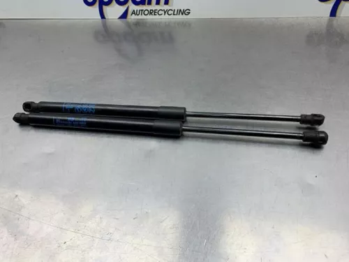 Set Gasdempers Achterklep-8347940