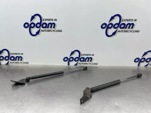 Set Gasdempers Achterklep-8319882