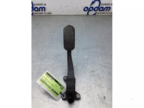 Gaspedaalpositie Sensor-8133513