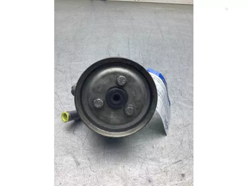 Stuurbekrachtiging Pomp-8330457