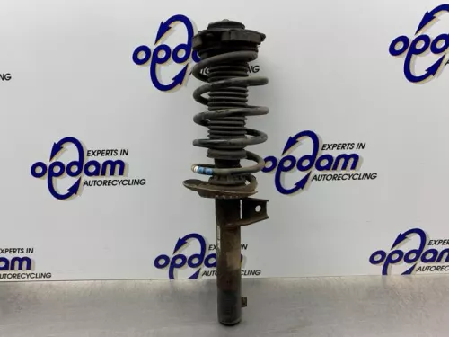 Schokdemperpoot links-voor-8341574