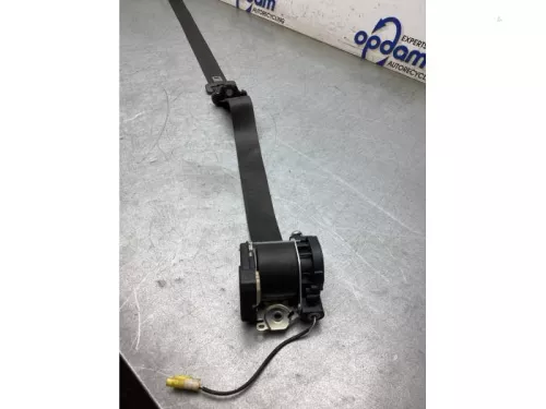 Veiligheidsgordel links-voor-7874166