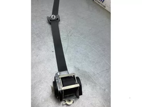 Veiligheidsgordel links-voor-7895303