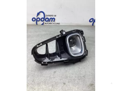 Mistlamp rechts-voor-7978229