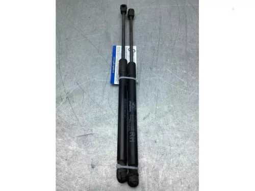 Gasdemperset Kofferdeksel-8289495