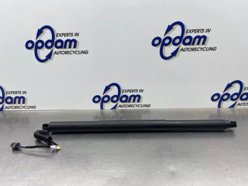 Gasdemper rechts-achter-