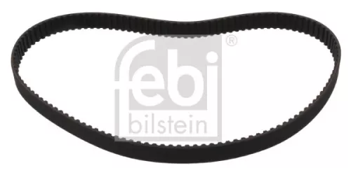 tandriem
