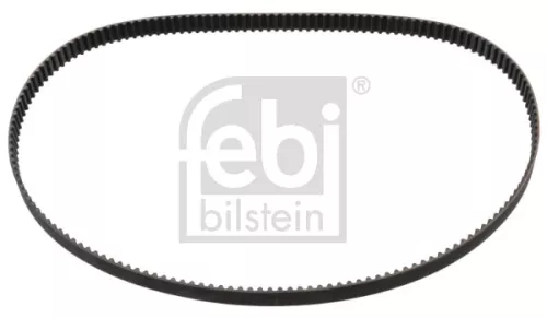 tandriem