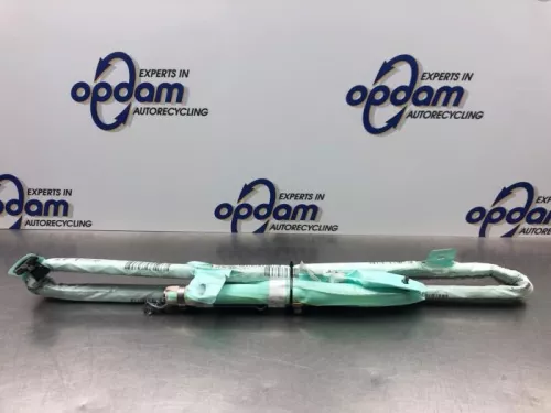 Airbag hemel links-8101100 Airbag hemel links-8101100