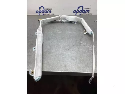 Airbag hemel rechts-8036519