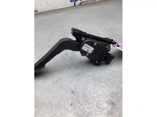 Gaspedaalpositie Sensor-8062752