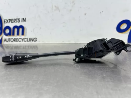 Cruise Control Bediening-8362415