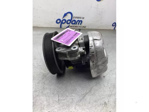 Stuurbekrachtiging Pomp-8252685