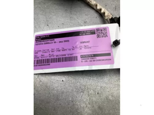 Rembekrachtiger-8153459