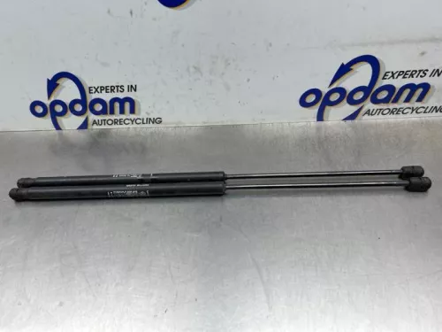 Gasdemper Motorkap Set-8311293