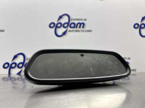 Binnenspiegel-8301989