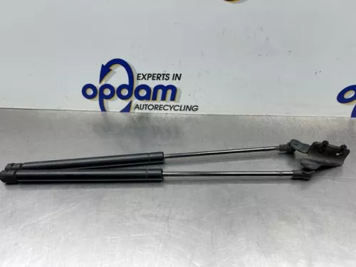 Set Gasdempers Achterklep-8250166