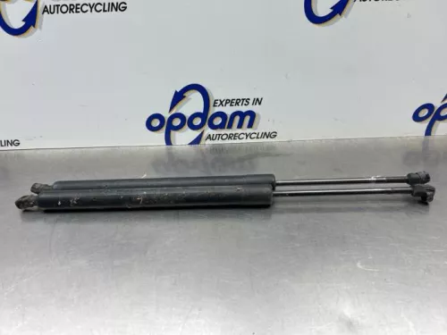 Set Gasdempers Achterklep-8209422