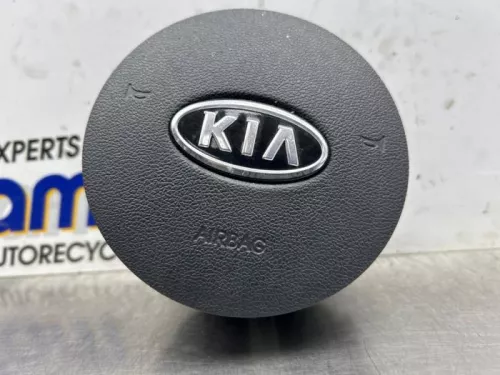 Airbag links (Stuur)-8260866