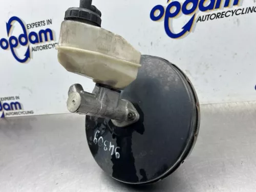 Rembekrachtiger-8374737