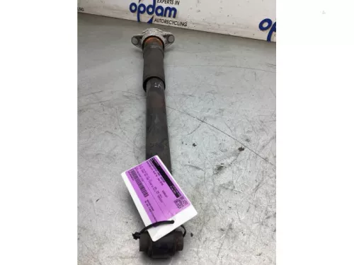 Schokdemperpoot links-achter-8350208