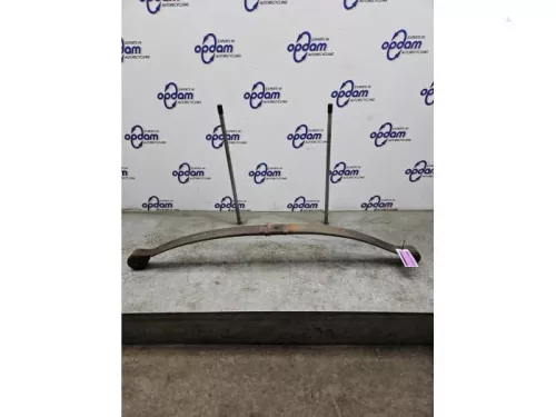 Bladveer achter-8373928