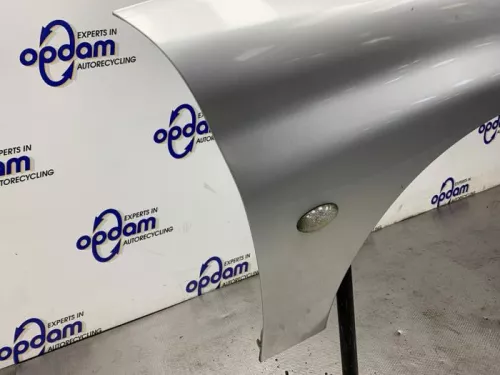 Scherm rechts-voor-8375224