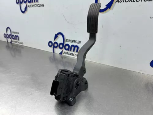Gaspedaal-8379803