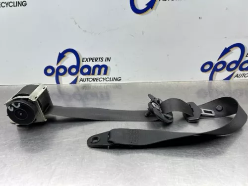 Veiligheidsgordel links-voor-8219680