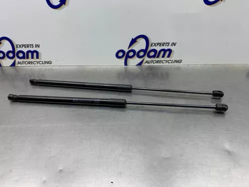 Set Gasdempers Achterklep-8083751