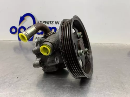 Stuurbekrachtiging Pomp-8373726