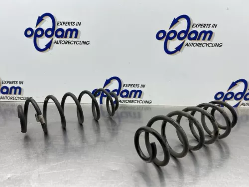 Schroefveer achter-8288846