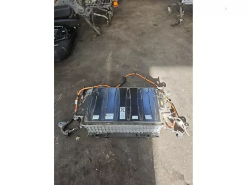 Accu (Hybride)-8336830