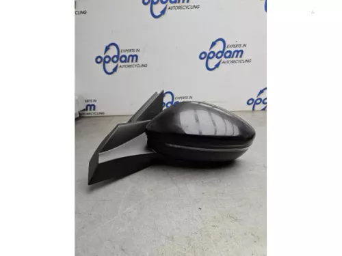 Buitenspiegel links-8269067