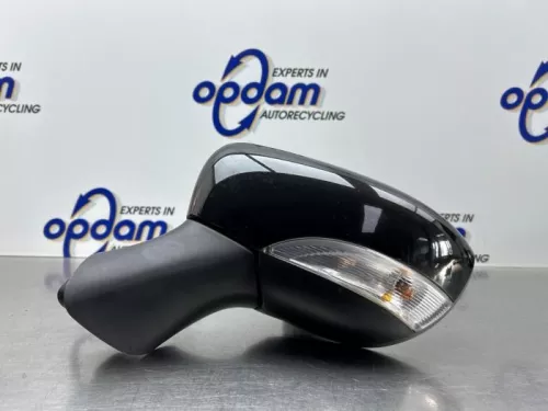 Buitenspiegel links-8318714