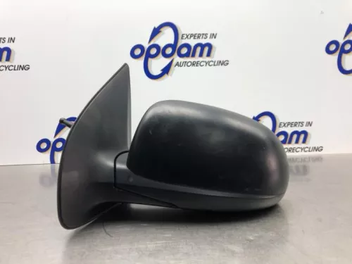 Buitenspiegel links-8173721