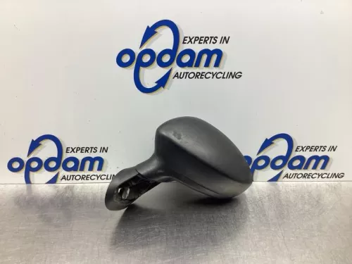 Buitenspiegel links-7983657