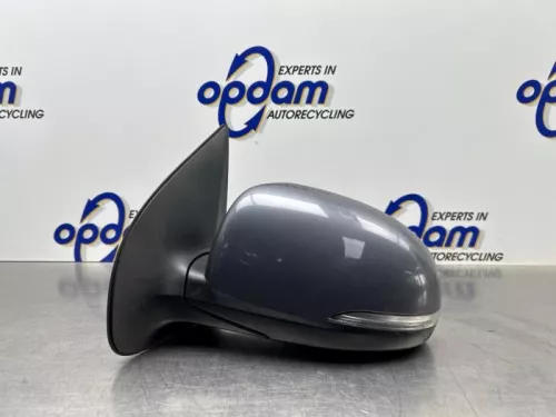 Buitenspiegel links-8280989