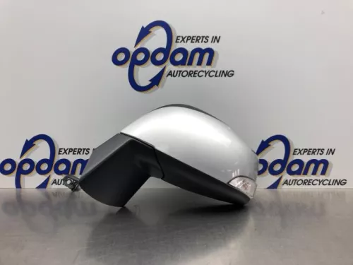 Buitenspiegel links-8224286