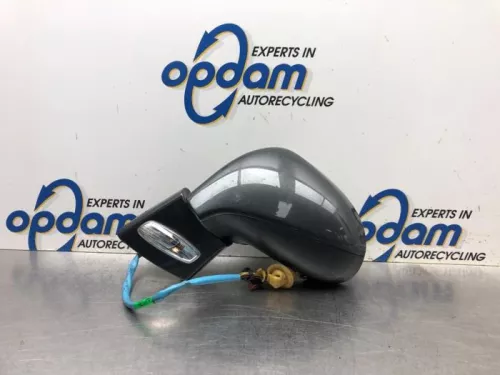 Buitenspiegel links-8091445