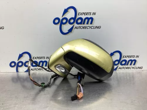 Buitenspiegel links-8073343