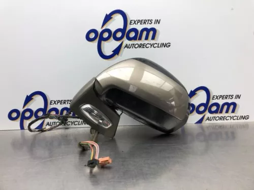 Buitenspiegel links-8192076