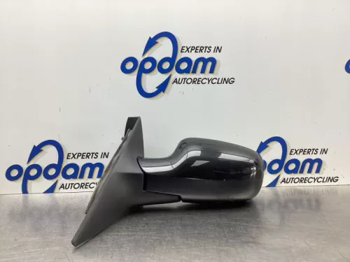 Buitenspiegel links-8039010