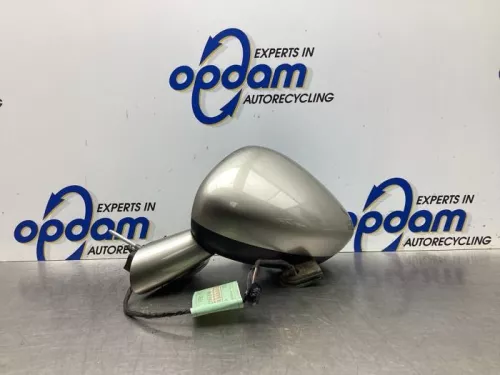 Buitenspiegel links-7983895