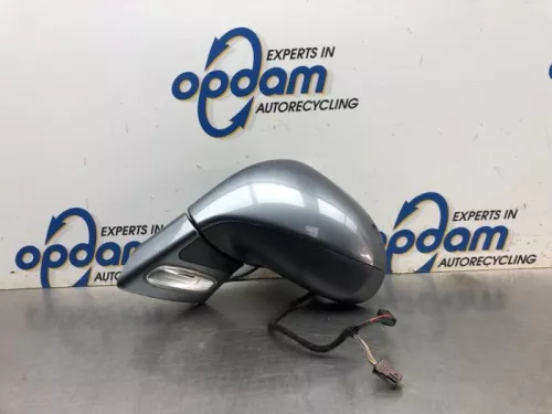 Buitenspiegel links-8170330