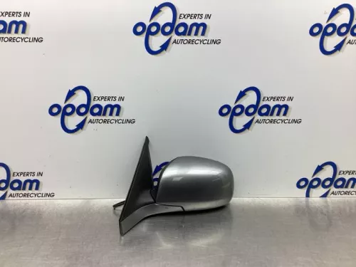 Buitenspiegel links-7924956