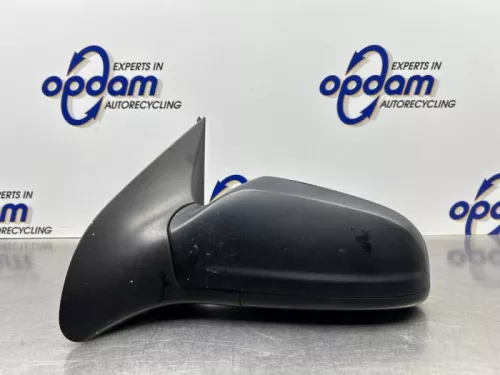 Buitenspiegel links-8298363