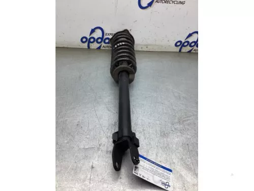 Schokdemperpoot rechts-voor-8380582