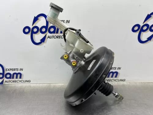 Rembekrachtiger-8402209